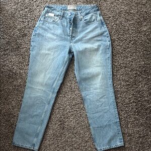 Everlane Classic Blue Denim Jeans